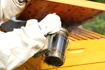 Imker mit Rauchpfeife in der Hand