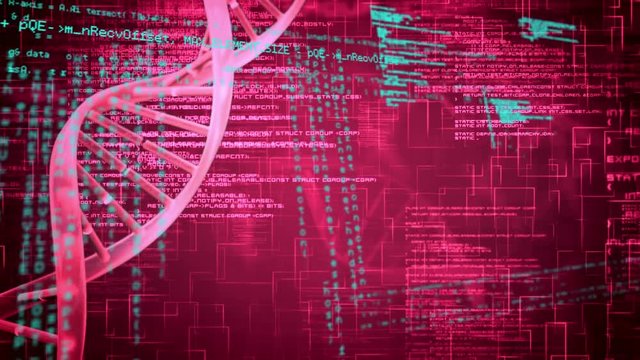 DNA double helix and digital codes
