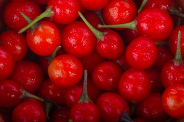 heap of red solanum background
