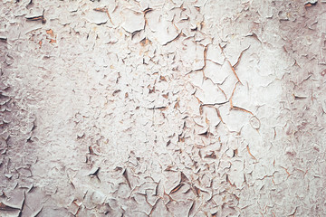 Old grungy cracked white and grey weathered wall paint peeling off rusted metal sheet. Textured background for posters and bloggers