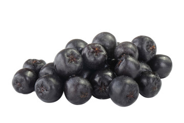 heap of black chokeberry  isolated on white background