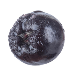 single black chokeberry with water drops isolated on white background