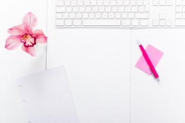 femininity place of work, pink post it, pen, flower on white office desk, copy space, top view