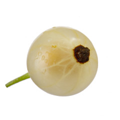 single white currant isolated on white background