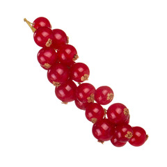 bunch of red currant isolated on white background