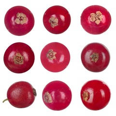 set of berries of red currants isolated on white
