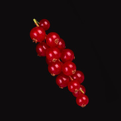 bunch of red currant isolated on black