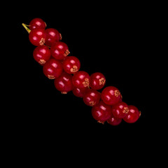 bunch of red currant isolated on black