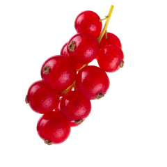bunch of red currant isolated on white background
