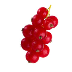 bunch of red currant isolated on white background