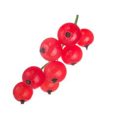 bunch of red currant isolated on white background