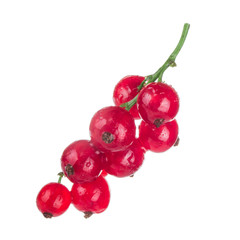 bunch of red currant isolated on white background