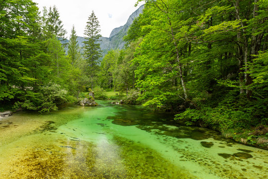 Colorful spring panorama of Sava bohinjka river at the Bohinj Lake village Ukanc. Picturesque moning scene in the Triglav National Park, Julian Alps.