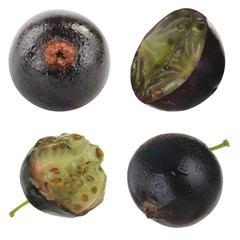set of black currants isolated on white