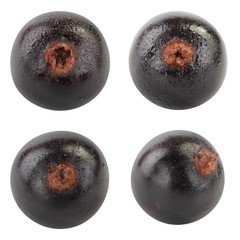 set of black currants isolated on white