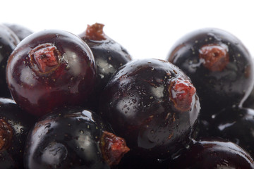 heap of black currant isolated on white background