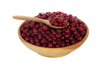 heap of red bird cherry isolated on white background