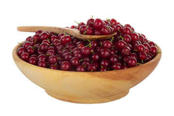 heap of red bird cherry isolated on white background