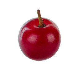 single red bird cherry isolated on white