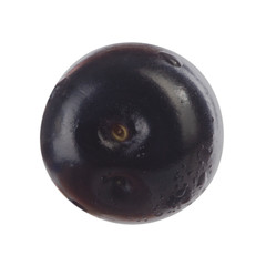 single  glossy black chokecherry isolated on white