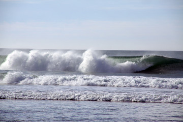 Fototapeta premium wave on the beach