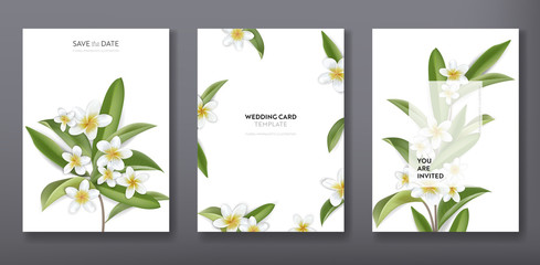 Minimalist floral tropical trendy greeting or wedding invitation card template design, set of poster, flyer, brochure, cover, party advertisement, tropic plumeria flowers in vector - obrazy, fototapety, plakaty