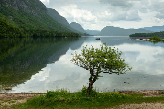 Colorful spring panorama of the Bohinj Lake at Ukanc. Picturesque moning scene in the Triglav National Park, Julian Alps.
