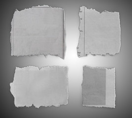Torn pieces of paper