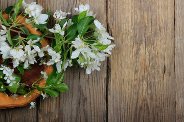flowers of cherry with leaves on wooden background