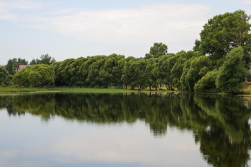 Fototapeta na wymiar Small lake in the country