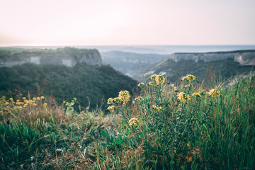 Fototapeta na wymiar Sunset on table Mountains in the Crimea under a cloudy sky with flowers
