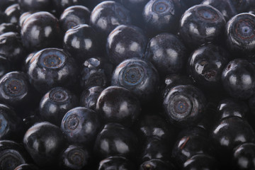 fresh  bilberries background
