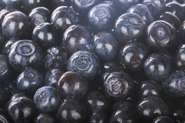 fresh  bilberries background