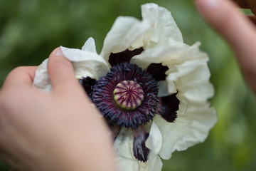 Girl playing around a town called berln