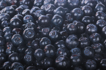 heap of fresh  bilberries background