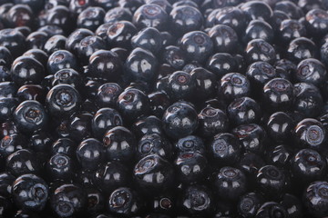 fresh  bilberries background