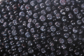 fresh  bilberries background