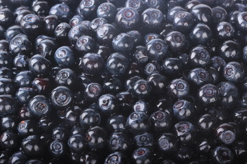 fresh  bilberries background
