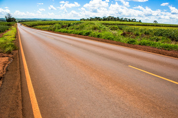 BRASIL, NUPORANGA, SP. 19/02/2013. RODOVIA. Rodovia Waldir Canevari e plantação de soja no município de Nuporanga, SP. - FOTO: ALF RIBEIRO