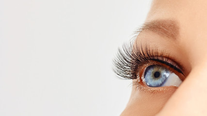Female eye with extreme long false eye lashes. Eyelash extensions, make-up, cosmetics, beauty