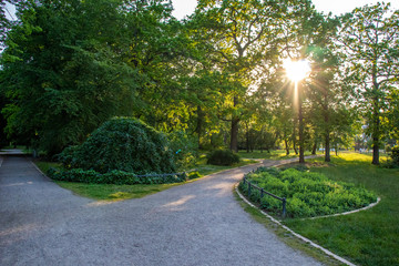 grüner Park