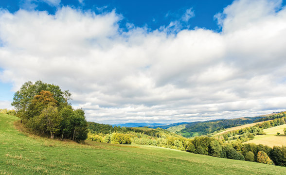 cloudy september countryside in mountains.  deciduous trees on the grassy meadow. clouds cover the blue sky. windy weather