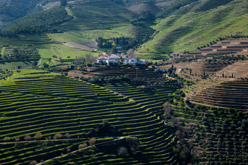 View of the terraced vineyards in the Douro Valley near the village of Pinhao, in Portugal  Concept for travel in Portugal and most beautiful places in Portugal © Tiago Fernandez