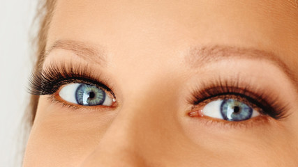 Fototapeta premium Female eye with extreme long false eye lashes. Eyelash extensions, make-up, cosmetics, beauty