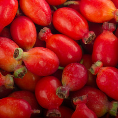 heap of red hips background