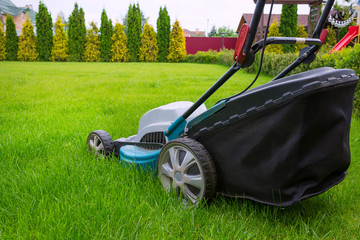 A lawn mower mowing green grass in the house backyard. A close-up of an electric lawn mower.