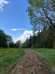 Fototapeta na wymiar Scenic hike to the Kreuzberg (Calvary) pilgrimage site in Bavaria's Rhön (Rhoen) region (Germany), a sacred mountain with lush grass and a blue sky with white clouds