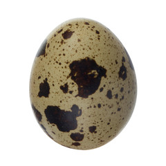 quail egg isolated on white background