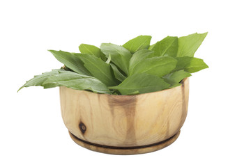 heap of leaves of basil in wooden cup isolated on white background