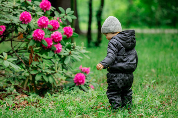 little boy near bush with flwoers in a garden